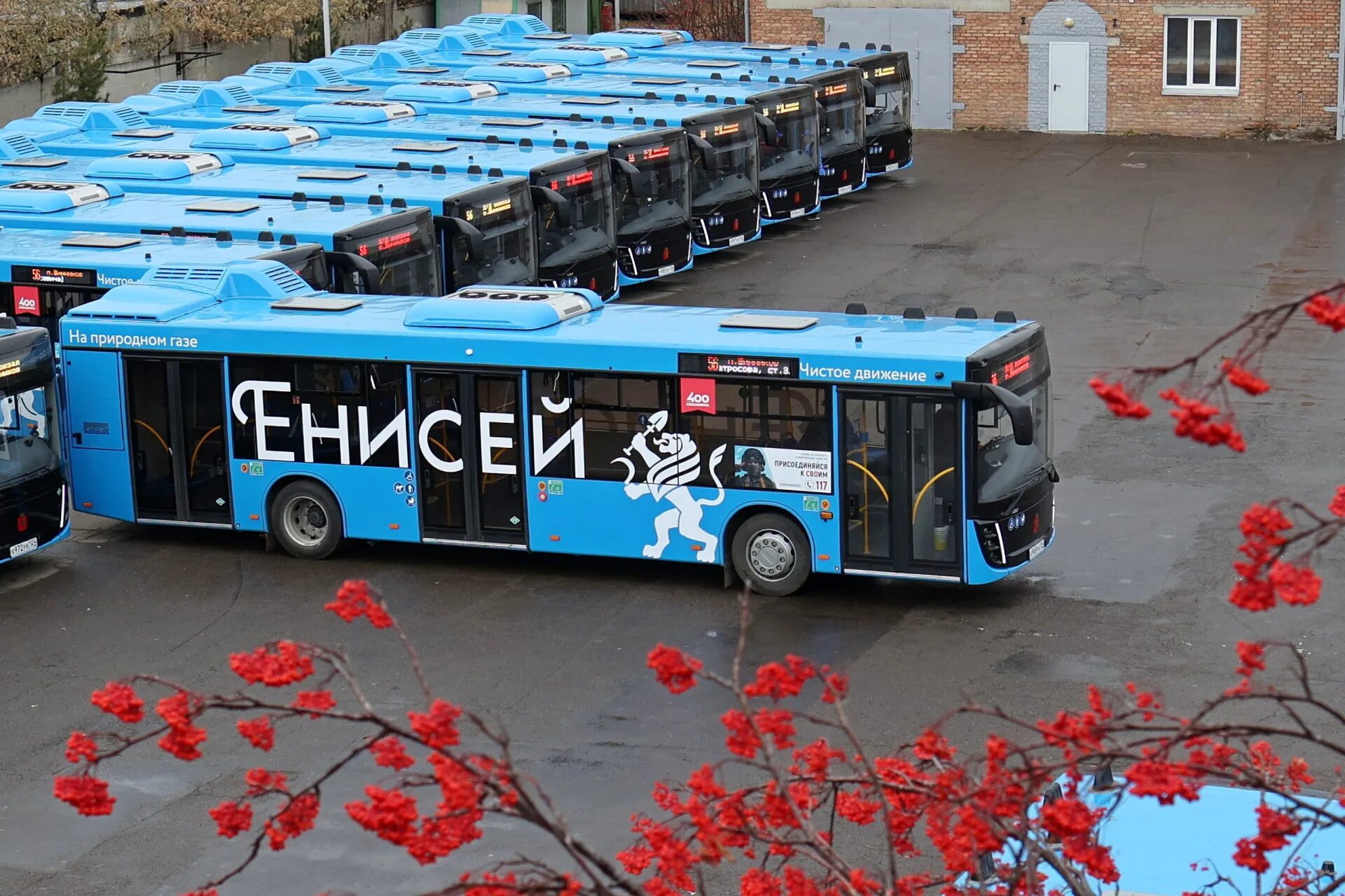 Транспорт